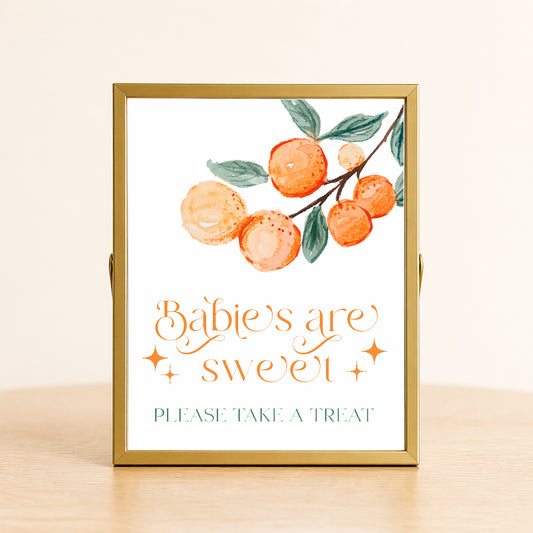 Babies are sweet baby shower sign with citrus design displayed in gold frame for dessert table decor.
