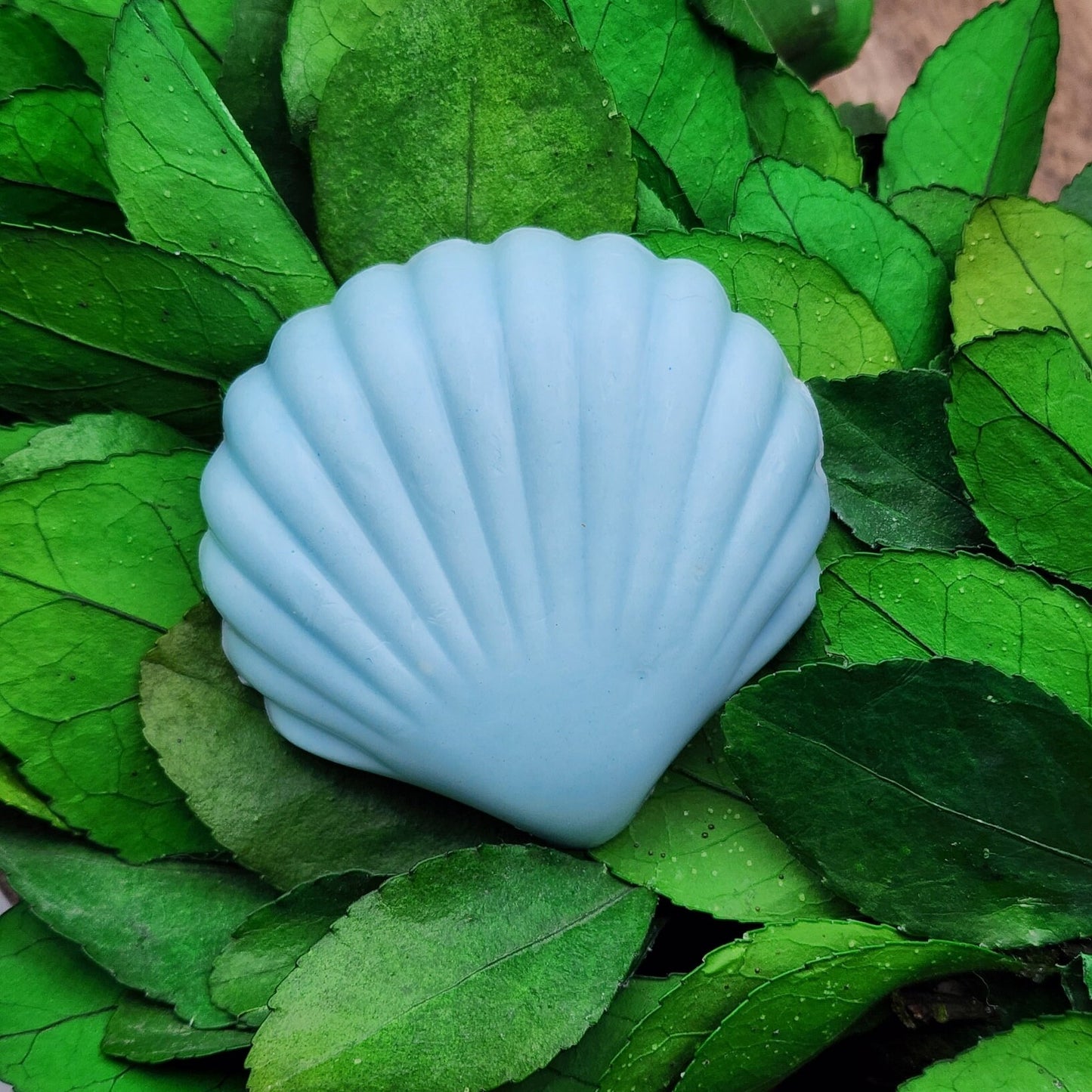 Beach Seashell Soap