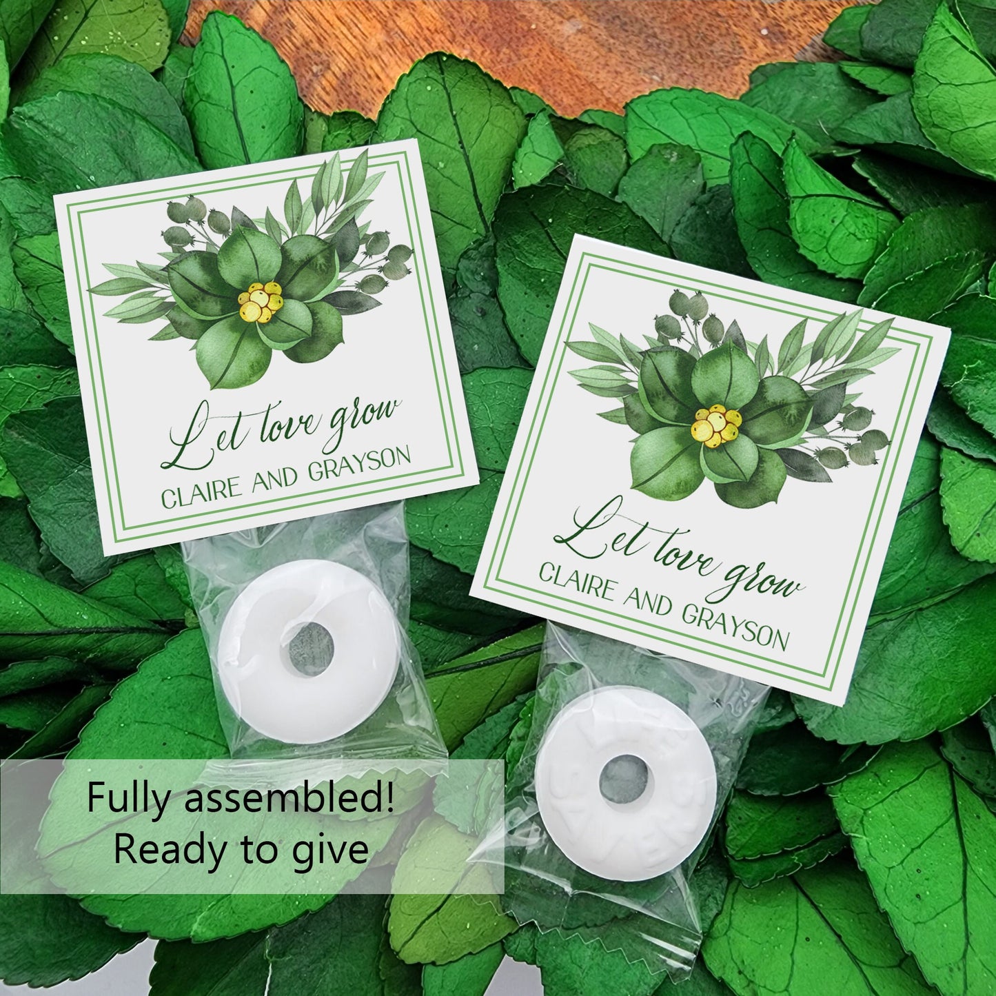 Succulent wedding - succulent bridal shower - wedding welcome bags - succulent favors - succulent party decor - let love grow favors