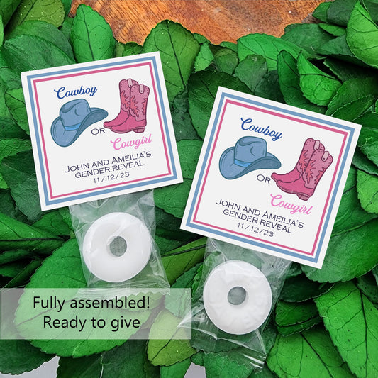 Cowgirl or cowboy gender reveal favors - cowboy or cowgirl gender reveal - western gender reveal - boots or bow - boots or bows